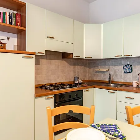 Guest Host - Il Loto *